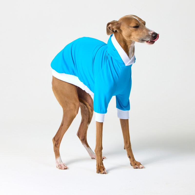 Italian Greyhound & Whippet Clothing | UV Suit