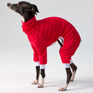 UV SPF50+ Red Italian Greyhound & Whippet Suits