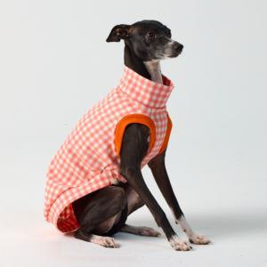 Chequered Vest - Coral