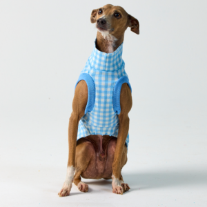 Chequered Vest - Baby Blue
